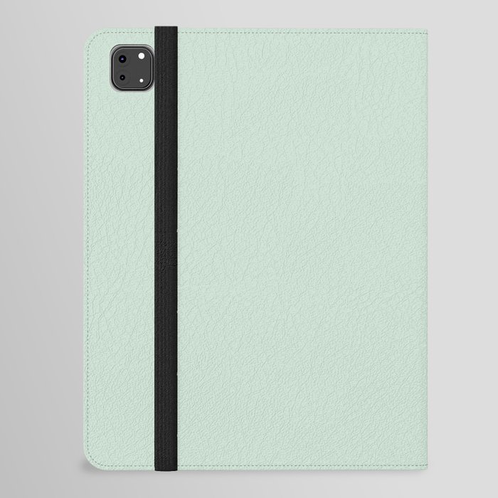 Ash Green-Gray iPad Folio Case
