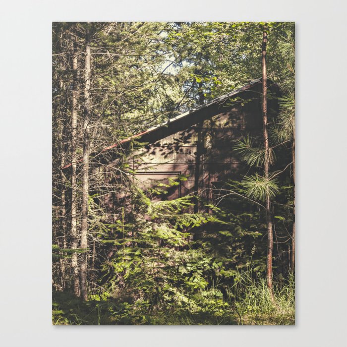 shrouded in nature Canvas Print
