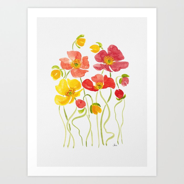 Rainbow Poppy Flowers  Art Print