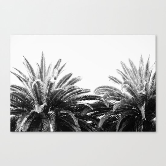 BW Palms Canvas Print