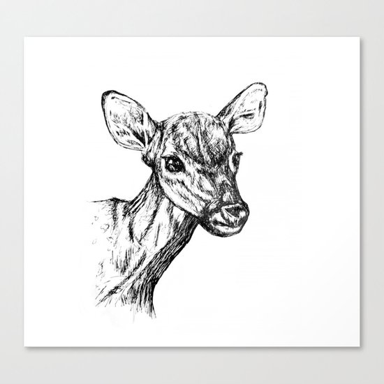 Deer - Black & White Canvas Print