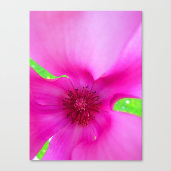 Shocking Pink Flower Canvas Print