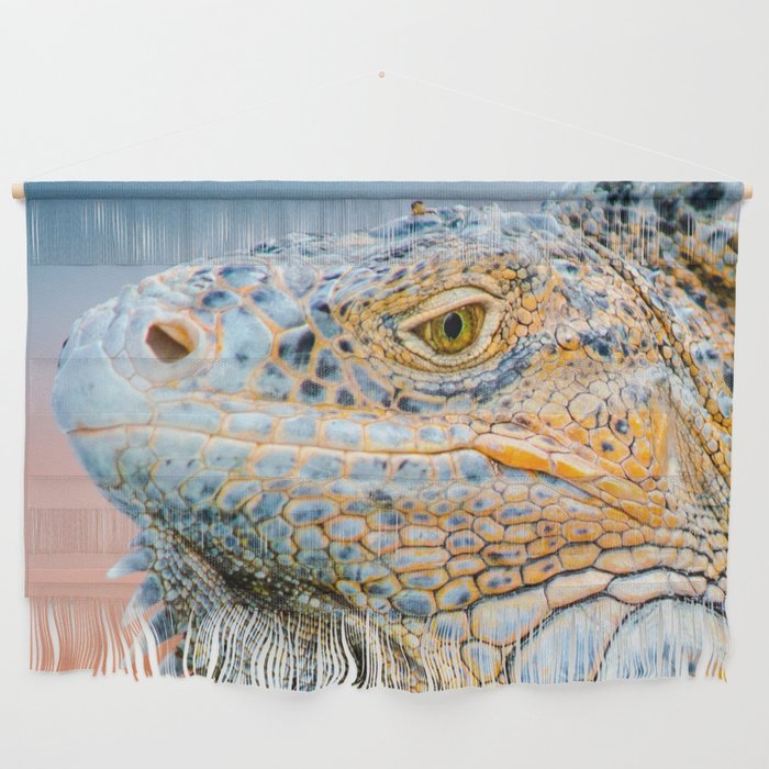 Mexico Photography - Green Iguana Relaxing Under The Sun Wall Hanging