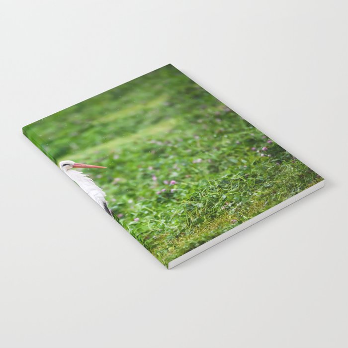 White stork Notebook