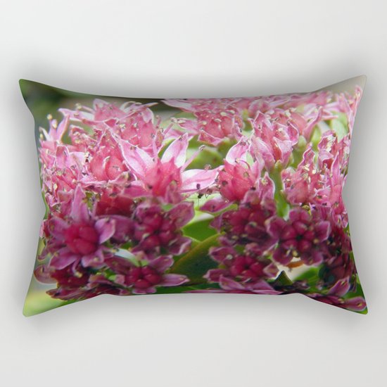 Sedum Flowers and the Ant Rectangular Pillow
