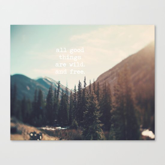 Wild and Free Canvas Print
