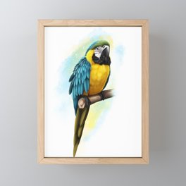 Macaw Framed Mini Art Print