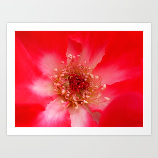 Love Art Print
