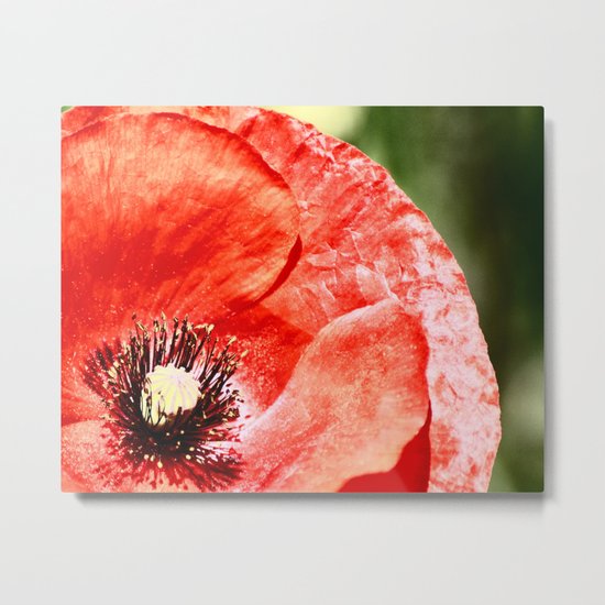 RED POPPY Metal Print
