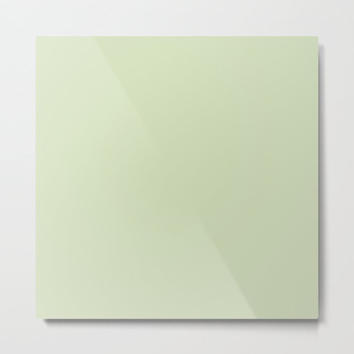 SOOTHING GREEN COLOR.  Plain Pale Celadon  Metal Print