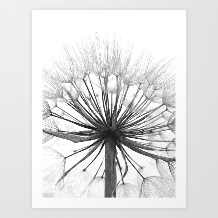 Black And White Dandelion Art Print By Alemi Society6