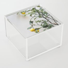 Citrus Fruits Beige Wall Palma de Mallorca Acrylic Box