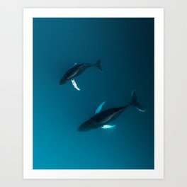 Mother and Child – Humpback Whales in the Ocean – Minimalist Wildlife Photography Art Print