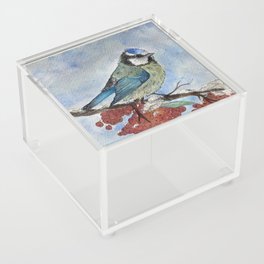 Frosty Bird Acrylic Box
