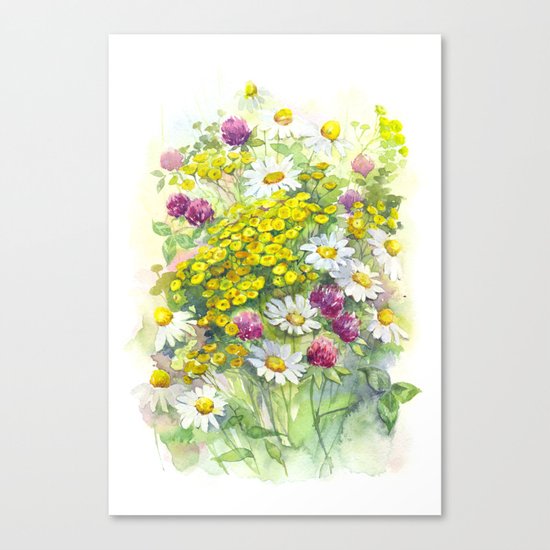 Watercolor meadow flowers spring Canvas Print