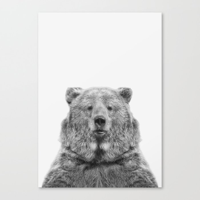 Bear European Canvas Print