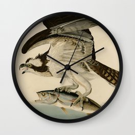 Vintage Osprey Catching a Fish Illustration (1838) Wall Clock