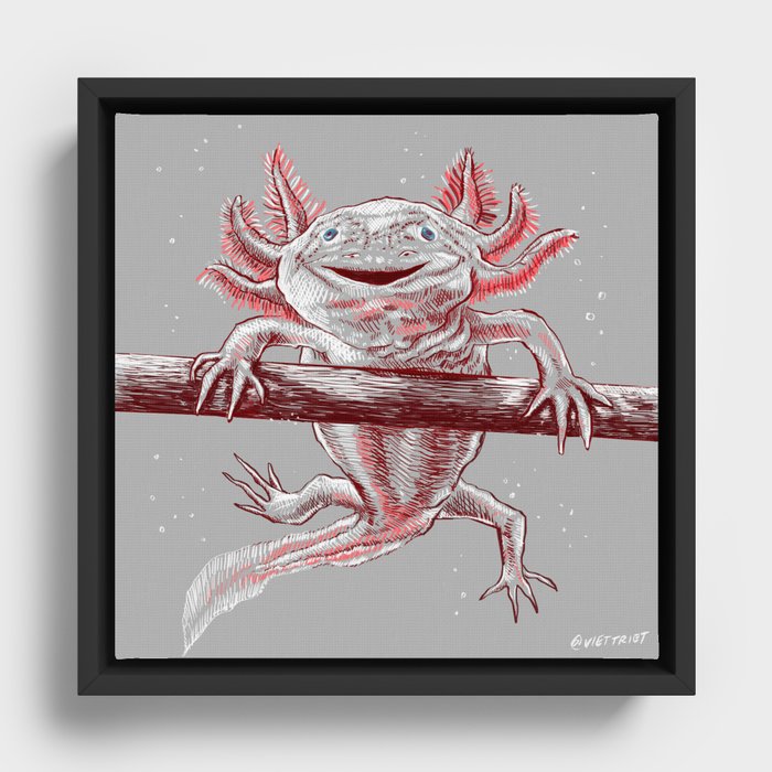 Axolotls Salamander Framed Canvas