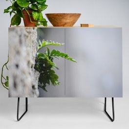 Small But Mighty  Credenza