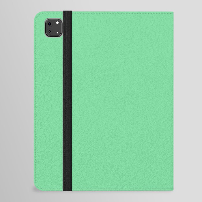 ALOE VERA LEAF COLOR. Pastel Green Solid Color iPad Folio Case