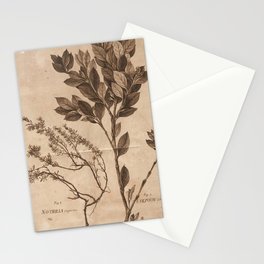 Neutral Vintage Botanical Print Stationery Cards