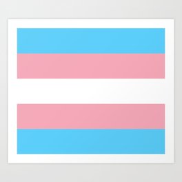 Transgender Pride Flag Art Print