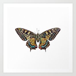 A Butterfly Art Print