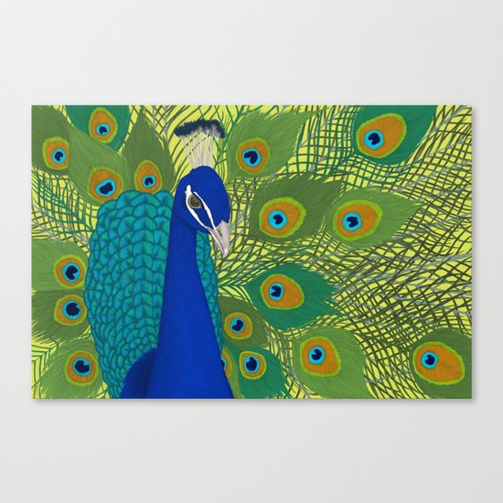 Peacock in Colour Canvas Print