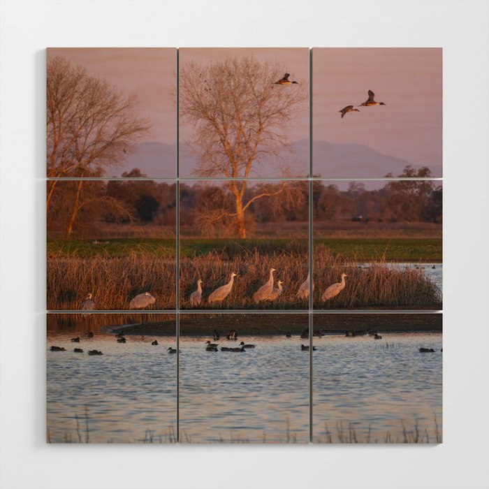 Sandhill Cranes at Sunrise Wood Wall Art