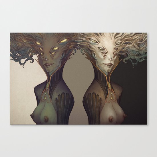 Eyes Canvas Print