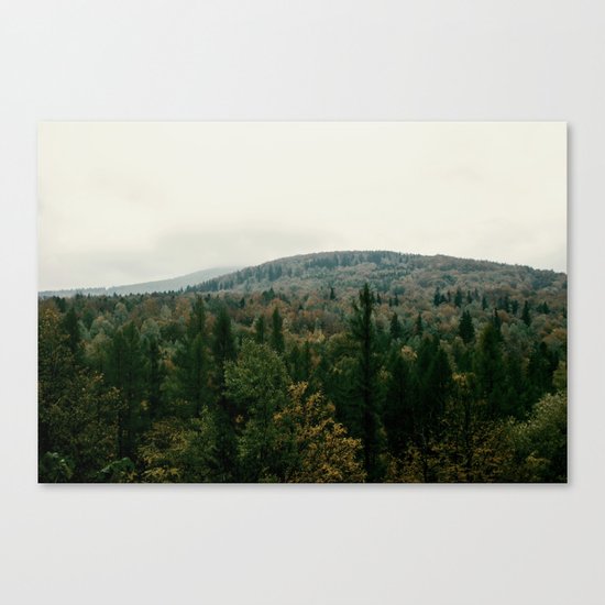 Early autumn, colorful forest and mountains Canvas Print