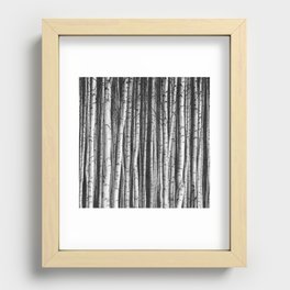 Birch || Recessed Framed Print