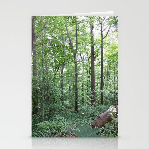 Forest dreaming Stationery Cards