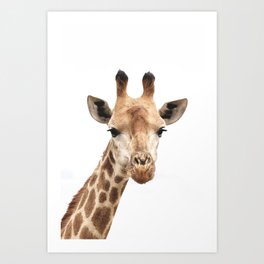 Giraffe Print Art Print