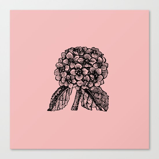 Pink Hydrangea Canvas Print