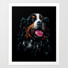 Bernese Mountain Dog - Dramatic and Colourful Pastel Art on Black Paper - Your New Best Friend Art Print