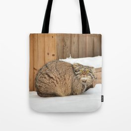 A Young Pallas's Cat Tote Bag