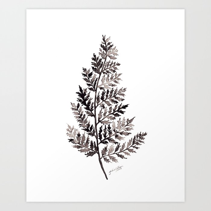 Forest Fern Art Print