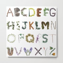 Forest Woodland Alphabet  Metal Print