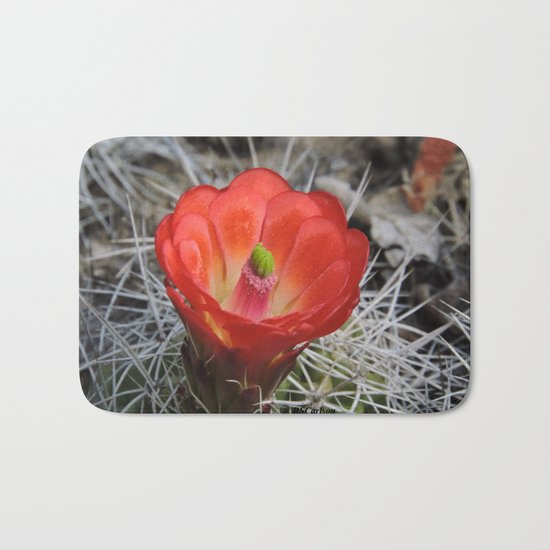 Red Blossom on a Hedgehog Cactus Bath Mat
