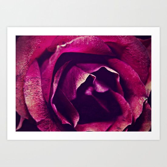name of the rose Art Print