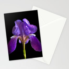 Purple Iris Stationery Cards