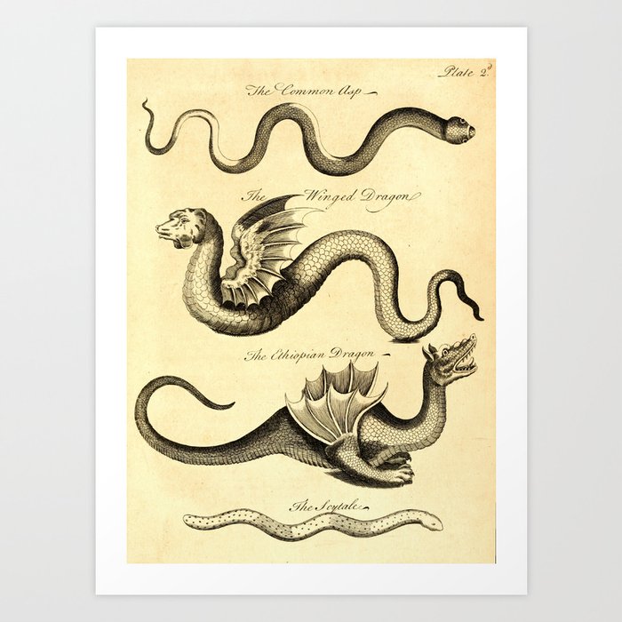Art from "An Essay Toward a Natural History of Serpents" (1742) Art Print