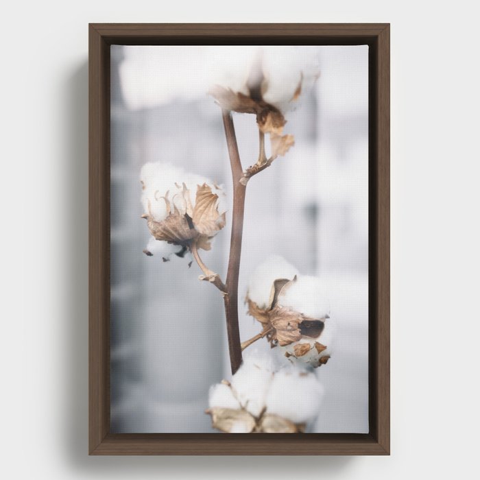Cotton soft tones | warm colors photography | Framed Canvas