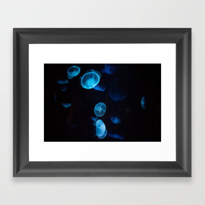Jellyfish Framed Art Print