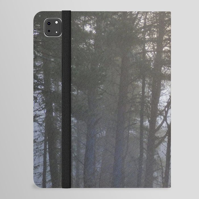 Misty Winter's Scottish Pine Tree View iPad Folio Case