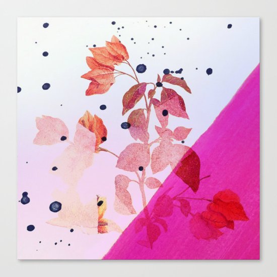 modern bougainvillea Canvas Print