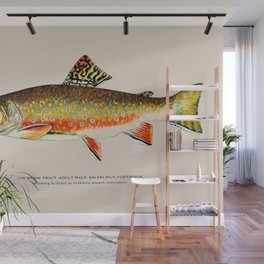 Brook Trout Wall Mural