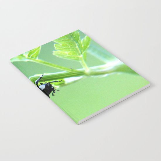ladybug Notebook