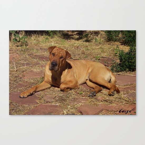 "Born Free" from the photo series, "My dog, PLaY-DoH" Canvas Print